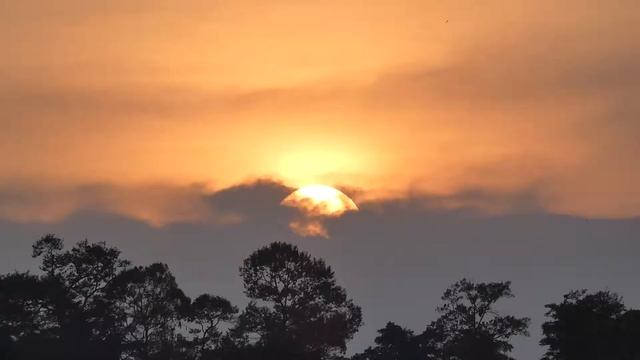 Sunset (Lumix FZ82) - Max Zoom смотреть онлайн