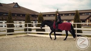 Уверенная посадка в седле. Баланс верхом на лошади.