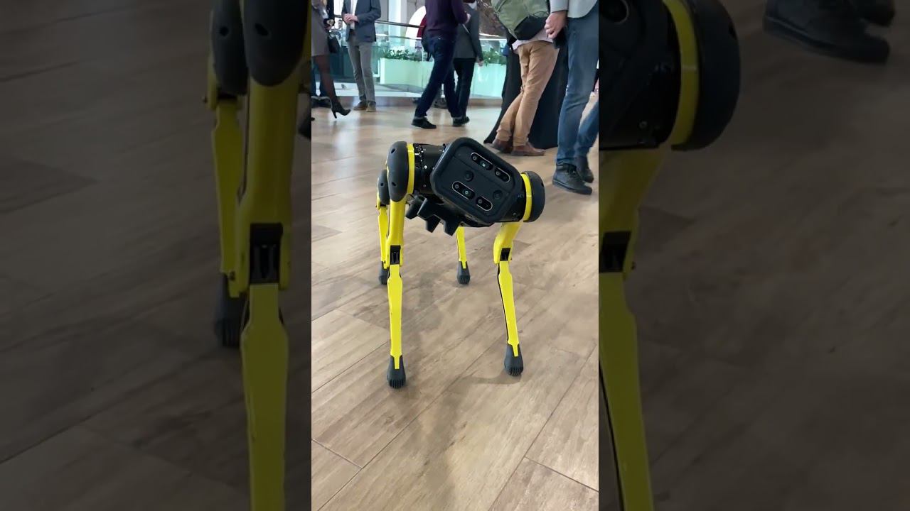 Робособаки белка и стрелка Unitree собака робот