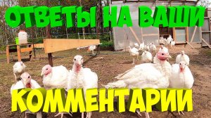 Ответы на ваши комментарии . [Жизнь в деревне]
