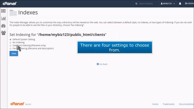 cPanel: How to use the Index Manager смотреть онлайн