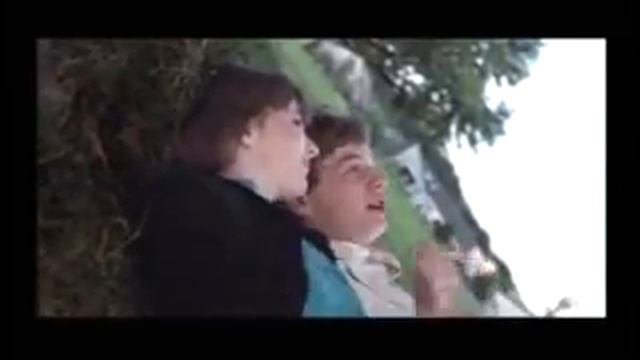 Gregory's Girl 1980 Subtitles Download