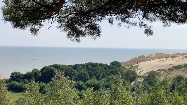 СОГЛАСИТЬСЯ РАЗОК ПРОЩЕ, ЧЕМ ОТКАЗАТЬ. Истории из жизни. Аудио рассказы, предательство жены смотреть онлайн