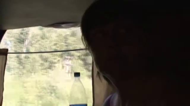 Домой в поезде 1 июля 2010 г c похода по Карелии.mpg смотреть онлайн