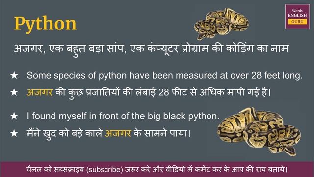 Python meaning in Hindi | Python ka matlab kya hota hai | Python means and hindi word смотреть онлайн