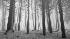 [Дмитрий Мордас – ЗАЙЧИК] озвучка рассказа