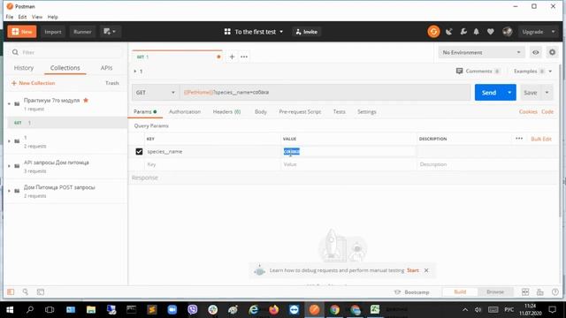 Тестирование API с помощью Postman. Создание коллекций, переменной, GET запросов ... смотреть онлайн