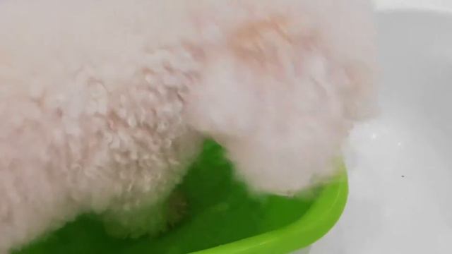 Зачем он копает воду? смотреть онлайн