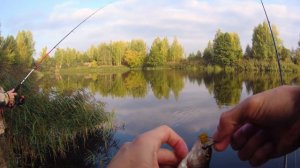 Уроки рыбалки. Ловля окуня. Урок 2. Джиг-риг.