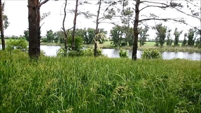 Течёт река Ея ... смотреть онлайн