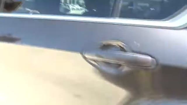 2013 Chevrolet Equinox San Antonio, Houston, Austin, Dallas, Universal City, TX CE12523A смотреть онлайн