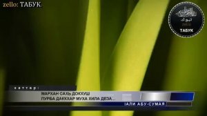 Мархи сахь докхш пурба даккхарх лаьцна.