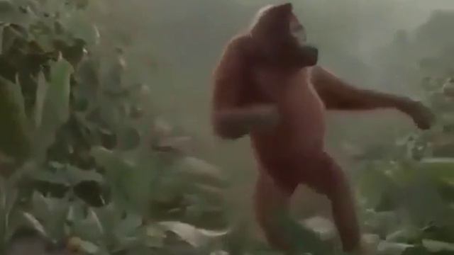 гимн субботы смотреть онлайн