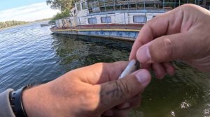 МИКРОДЖИГ | р.ДОН | ОГРОМНЫЙ СУДАК