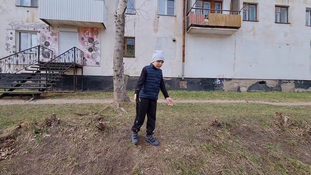Муравьи красные и черные 😁 смотреть онлайн
