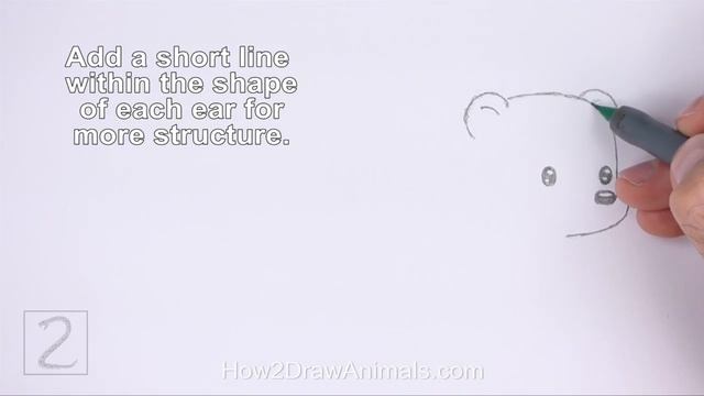 How to Draw a Polar Bear (Cartoon) смотреть онлайн