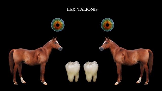 1.2 Criminal Law Meeting 1 Part 2 смотреть онлайн