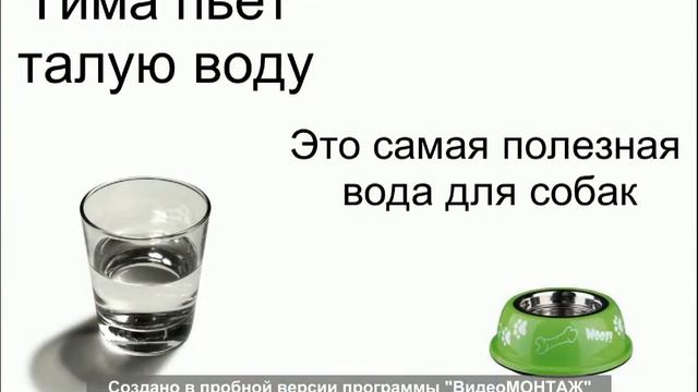 Немного о моей собаке смотреть онлайн