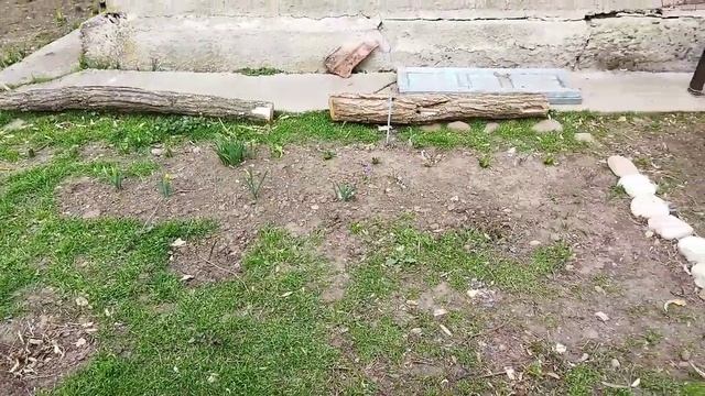 Продолжаем обустройство/ Спасибо реке Кубань /переехали в Ставропольский край. смотреть онлайн