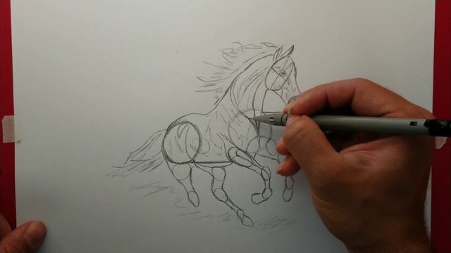 how to draw a horse (basic tutorial) смотреть онлайн