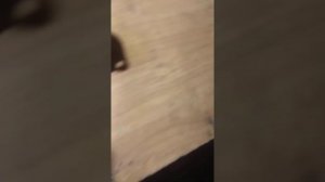 Часть 1 стук в правой стороне ваз 2112