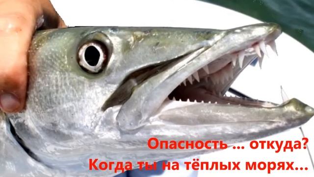О животных по алфавиту - первая книга Виктора Пилована смотреть онлайн