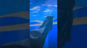 СМОЖЕТ ЛИ БЭТМОБИЛЬ ПРОЕХАТЬ ПО КРИВОЙ ДОРОГЕ! ЭКСПЕРИМЕНТ #shorts