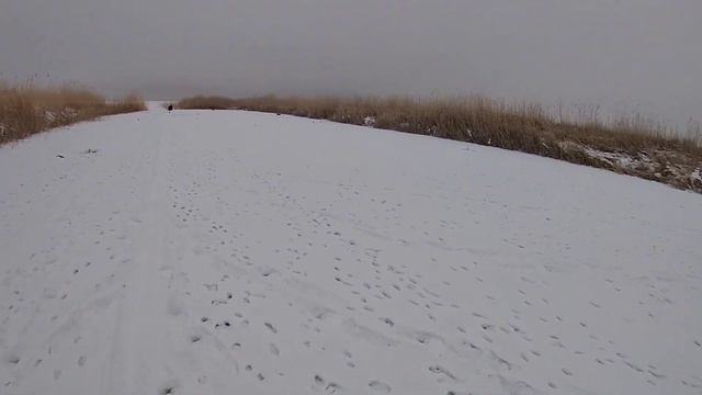 Это просто нужно видеть. Зимняя рыбалка. смотреть онлайн