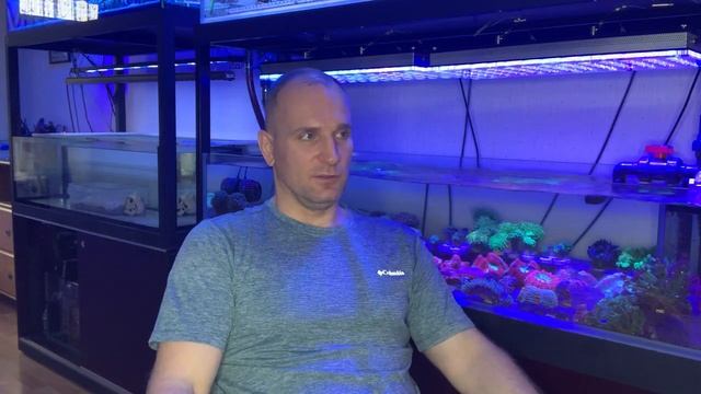 "Рифовый Аквариум" Турбеллярия (Pericelis) . Часть 35 смотреть онлайн