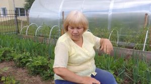 Томаты в грунте: Обзор сорта Монгольский карлик.