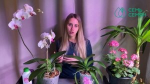 КАК УХАЖИВАТЬ ЗА ОРХИДЕЯМИ ПОСЛЕ ЦВЕТЕНИЯ!