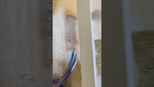 Диптих «Выпускающие птиц» с очень интересной историей от художника смотреть онлайн