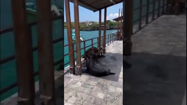 mesta-zanyaty смотреть онлайн