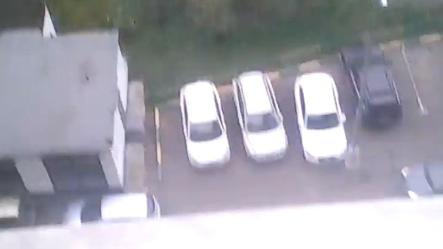 Мои маленькие животные смотреть онлайн