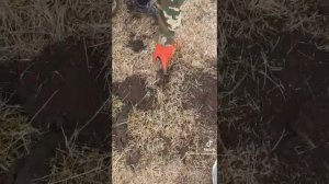 Металлоискатель фишер ф 75.