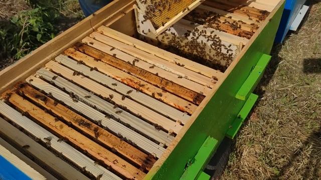 Улей ЛЕЖАК сколько мёда в лежаке РАМКИ ДЛЯ ОТКАЧКИ какие можно брать РАЗВИТИЕ И РАСШИРЕНИЕ ✅☝️? смотреть онлайн