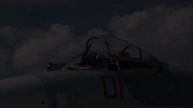 Sukhoi Su-27 - The Thruster