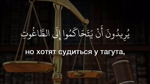 Махди Шишани красивое чтение Корана🌸 смотреть онлайн