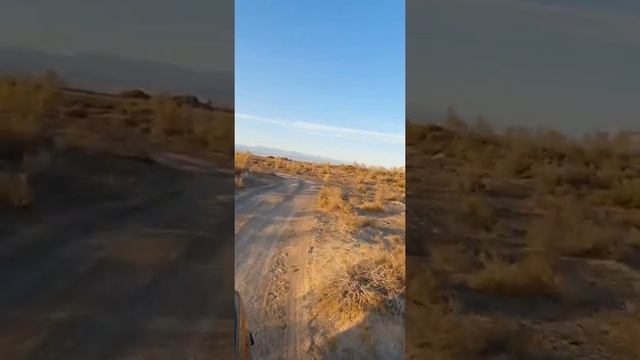 Алтын Емель. Реликтовый тополь Туранга. Река Или. смотреть онлайн