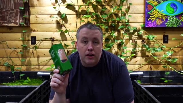 5 Simple Aquarium Tips That Save You Money смотреть онлайн