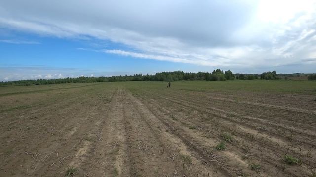 Нашли царское Золото! Полиция накрыла тур выходного дня в Тверской глуши! смотреть онлайн