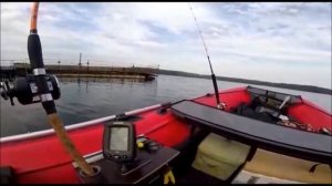 ? ПОВОДОК ДЛЯ ТРОЛЛИНГА !