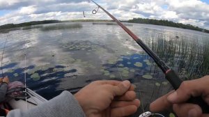 Ловля щуки в траве