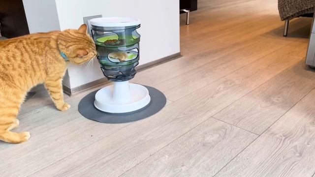 Обзор на Hagen Catit Design Senses Feeding Maze Кормушка-головоломка для кошек #кошка #кот смотреть онлайн