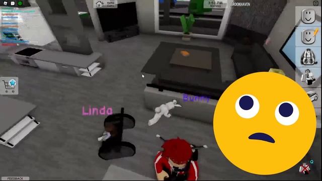 If BROOKHAVEN Added BUNNIES! (Roblox) смотреть онлайн
