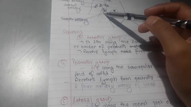 Easy explanation of axillary lymph node смотреть онлайн