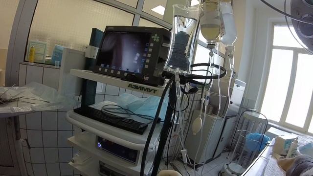 Фарингоскопия у собаки. Осмотр на предмет гипертрофии небной занавески. www.endovet.com смотреть онлайн