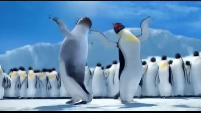 Dansul pinguinilor de la Moldova! смотреть онлайн