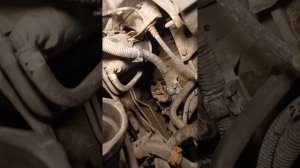 1.  Замена масла в МКПП ниссан примера п 12, 1.6