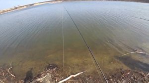 Весенняя рыбалка. Ловля судака на джиг. Весенний ЖОР судака. Рыбалка на Дону.